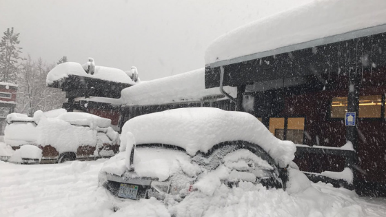 Snow and vehicles